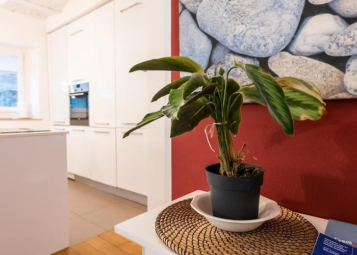 Simon's House Apartment *